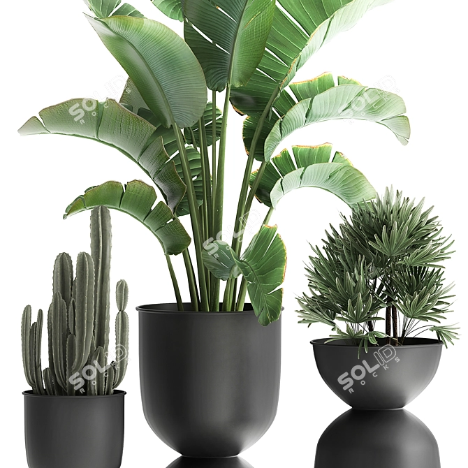 Tropical Chic Plant Collection 3D model image 5