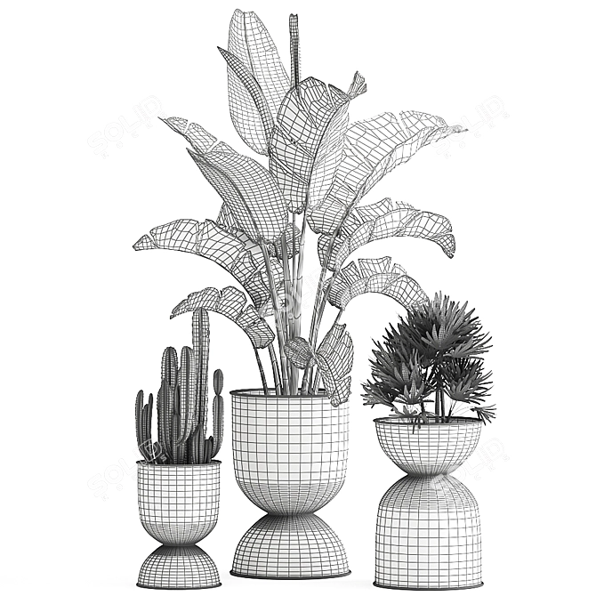 Tropical Chic Plant Collection 3D model image 7