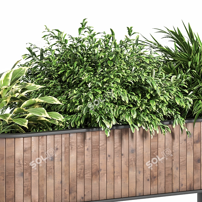 Lush Green Indoor Plant Set 3D model image 2