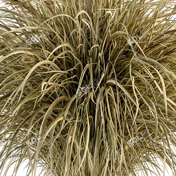 Pampas Oasis - 25 Piece Bush Set 3D model image 3