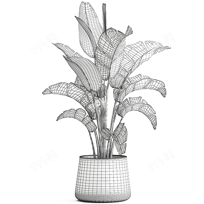 Tropical Plant Collection in Iron Pots 3D model image 5
