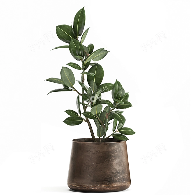 Tropical Plant Collection: Exotics for Indoor & Outdoor Spaces 3D model image 5