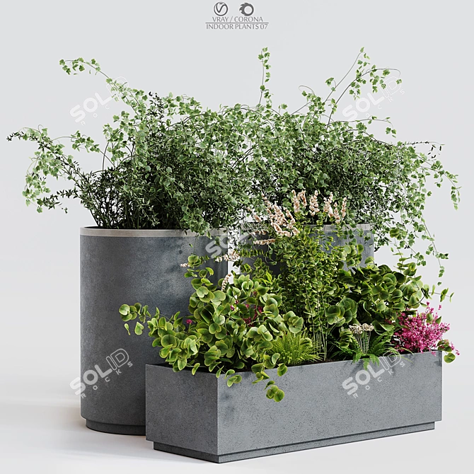 Premium Indoor Plant Decor 3D model image 1