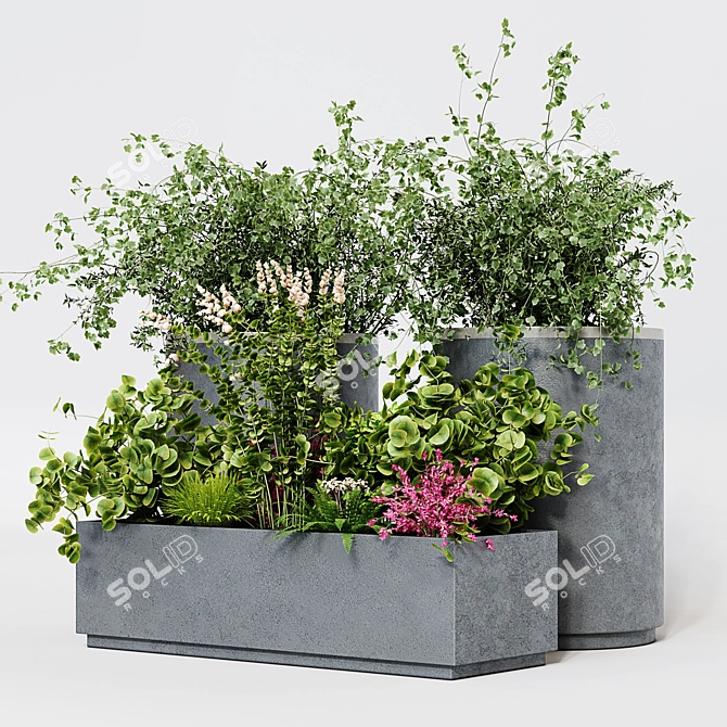 Premium Indoor Plant Decor 3D model image 3