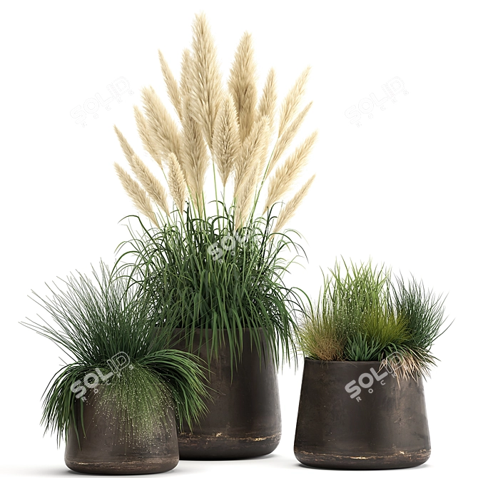 Exotic Plant Collection with Metal Pots 3D model image 1