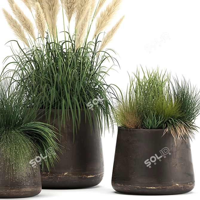 Exotic Plant Collection with Metal Pots 3D model image 4