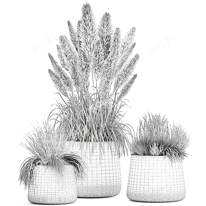 Exotic Plant Collection with Metal Pots 3D model image 5