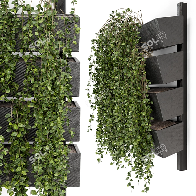 Elegant Hanging Wall Planter Set 3D model image 3