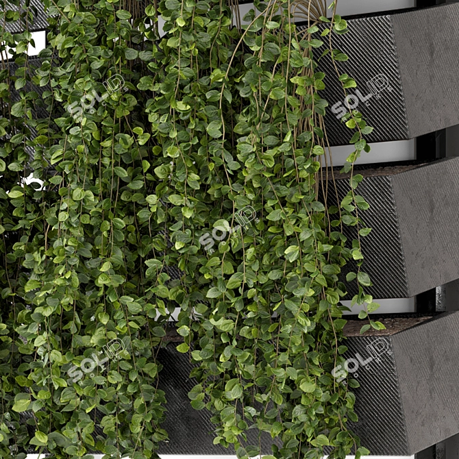 Elegant Hanging Wall Planter Set 3D model image 4