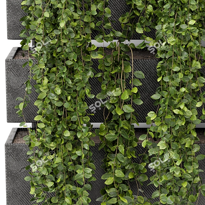 Elegant Hanging Wall Planter Set 3D model image 5