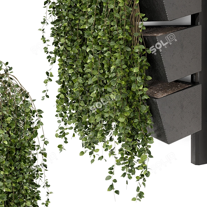 Elegant Hanging Wall Planter Set 3D model image 6