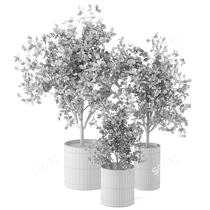 Versatile Indoor Plants Collection 3D model image 6