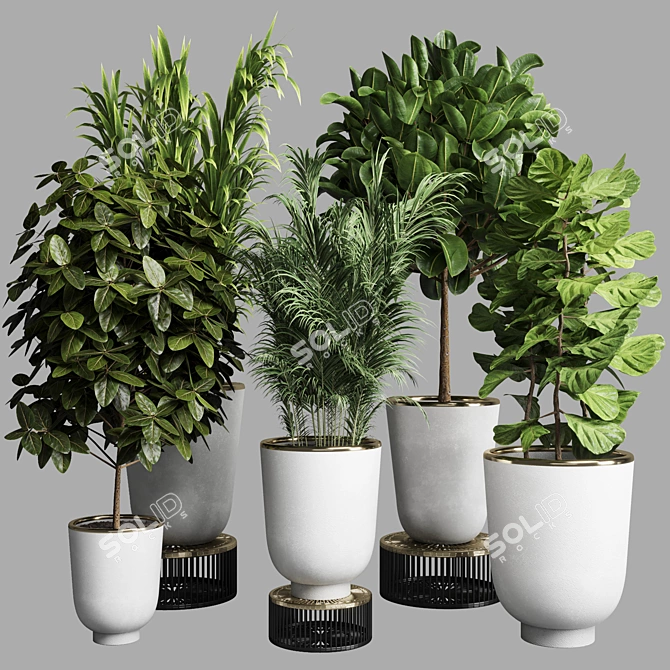 Concrete Vase Collection: Indoor Plant 35 3D model image 1