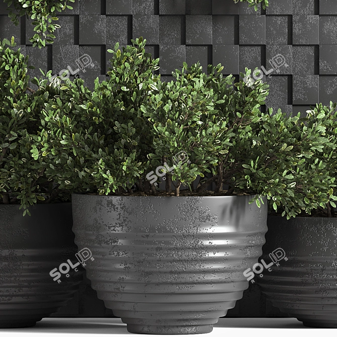 Outbox: Ultimate Outdoor Plant Collection 3D model image 2