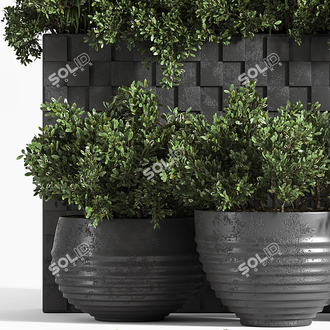 Outbox: Ultimate Outdoor Plant Collection 3D model image 4