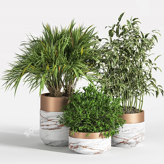 Indoor Greenery Set 3D model image 1