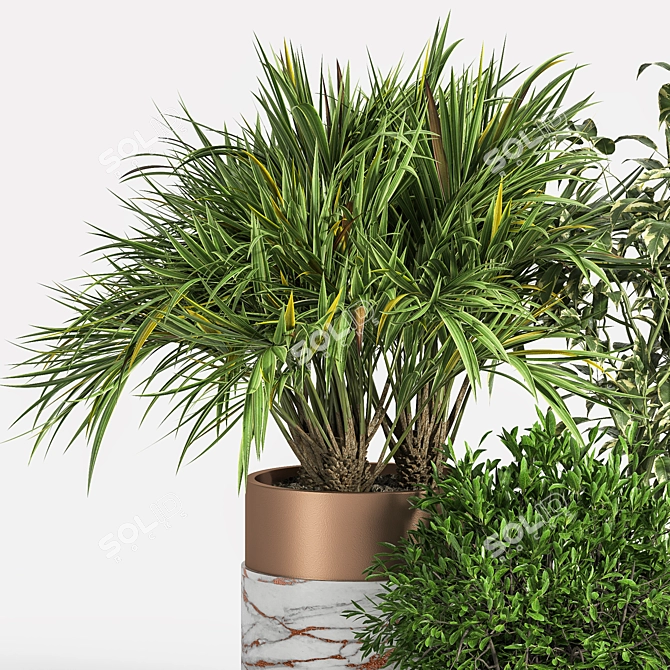 Indoor Greenery Set 3D model image 2