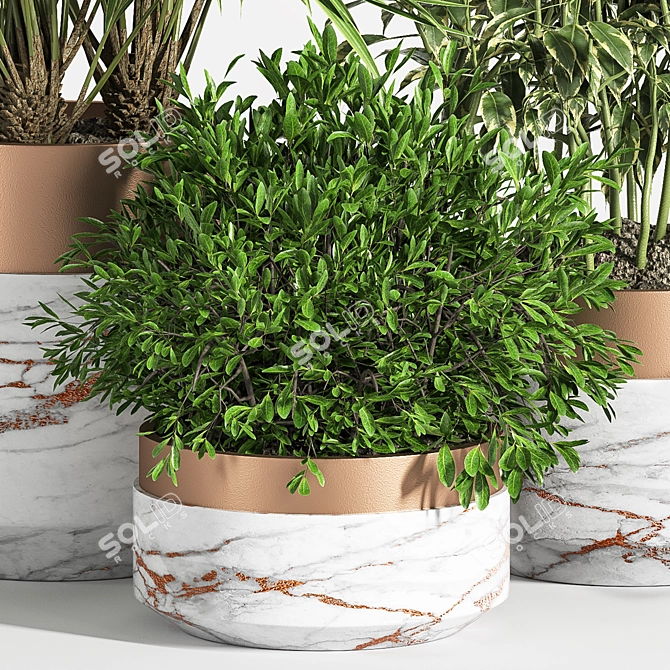 Indoor Greenery Set 3D model image 4