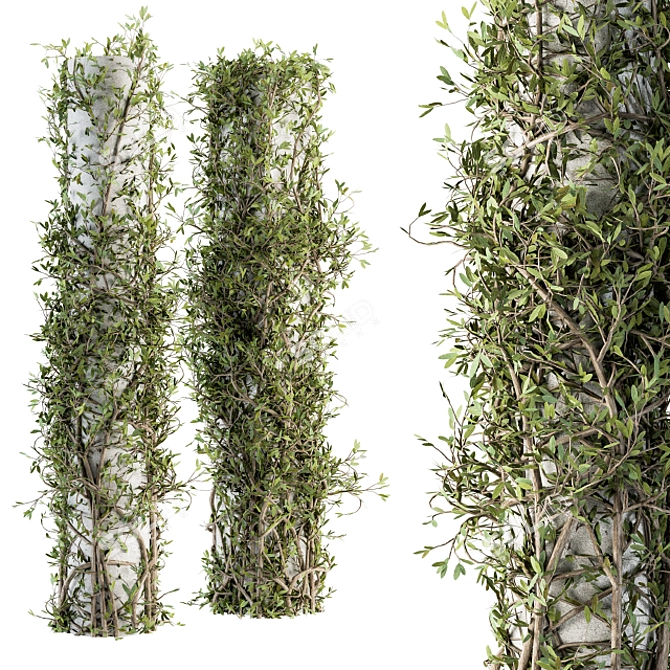 Ivy on Column Outdoor Plant Set 3D model image 2