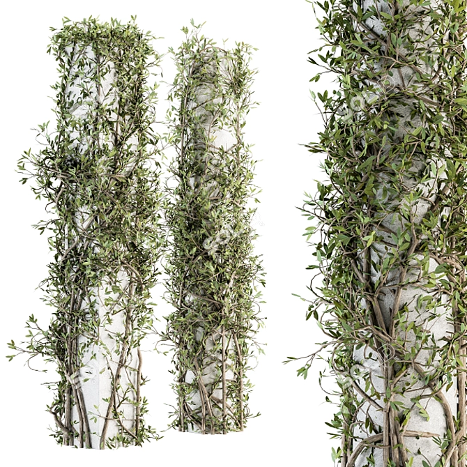 Ivy on Column Outdoor Plant Set 3D model image 3