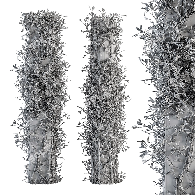 Ivy on Column Outdoor Plant Set 3D model image 5