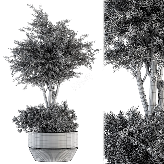 Fresh Greenery: Outdoor Plant Set 3D model image 4