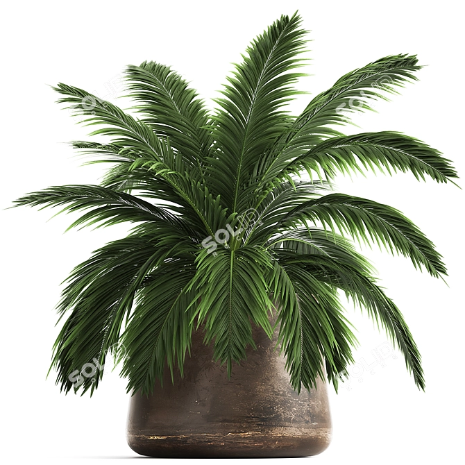 Exotic Plant Collection: Howea Forsteriana in Reclaimed Iron Coppa Pot 3D model image 1
