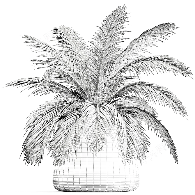 Exotic Plant Collection: Howea Forsteriana in Reclaimed Iron Coppa Pot 3D model image 6