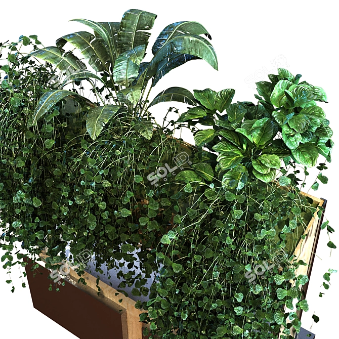 Lush Greenery Box Set 3D model image 4