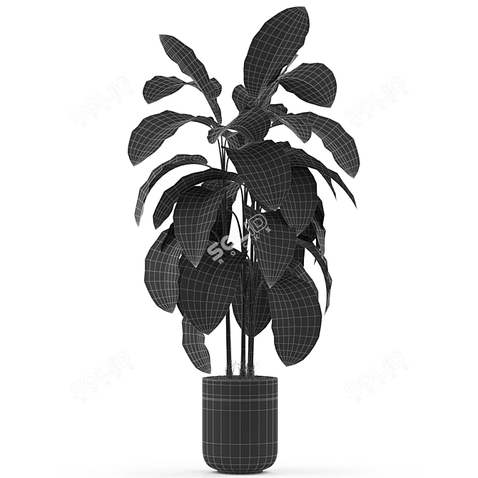 Green Oasis: Exquisite Plants Collection 3D model image 3