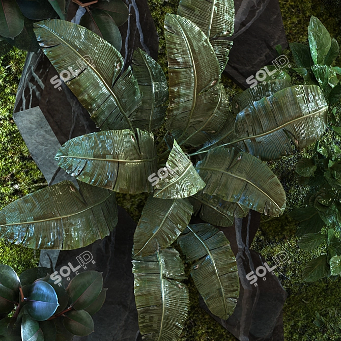 Green Oasis Wall Set 3D model image 3