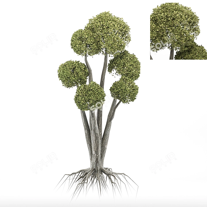 Elegant Tree Sculpture 3D model image 1