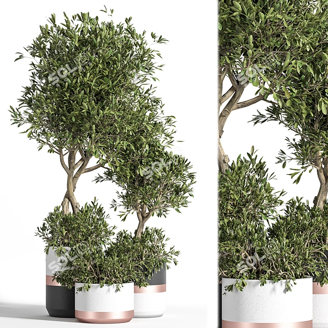 Curated visual reference: Fresh Look at Green Oasis Indoor Plant Set 3D Model