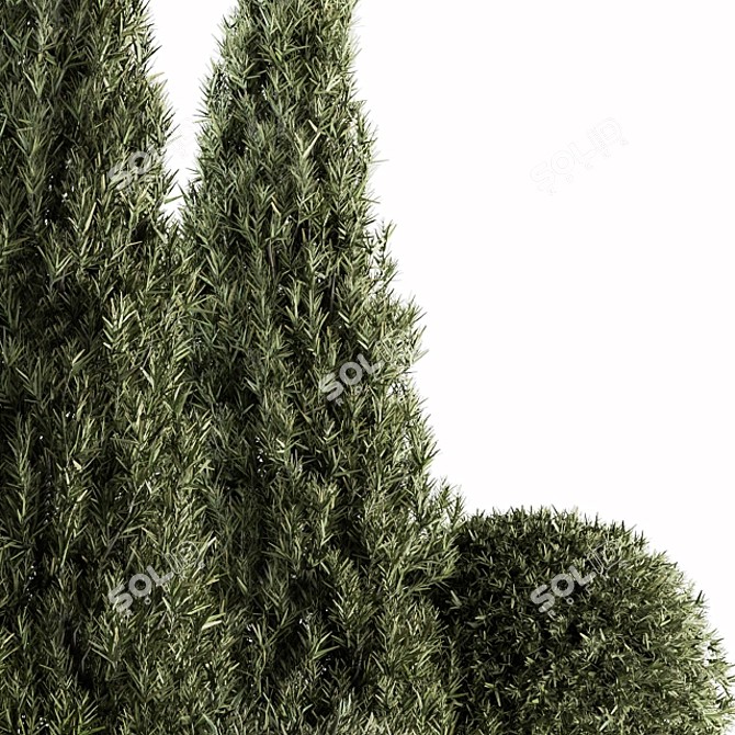 180 Outdoor Plant Set - Small Pine 3D model image 2