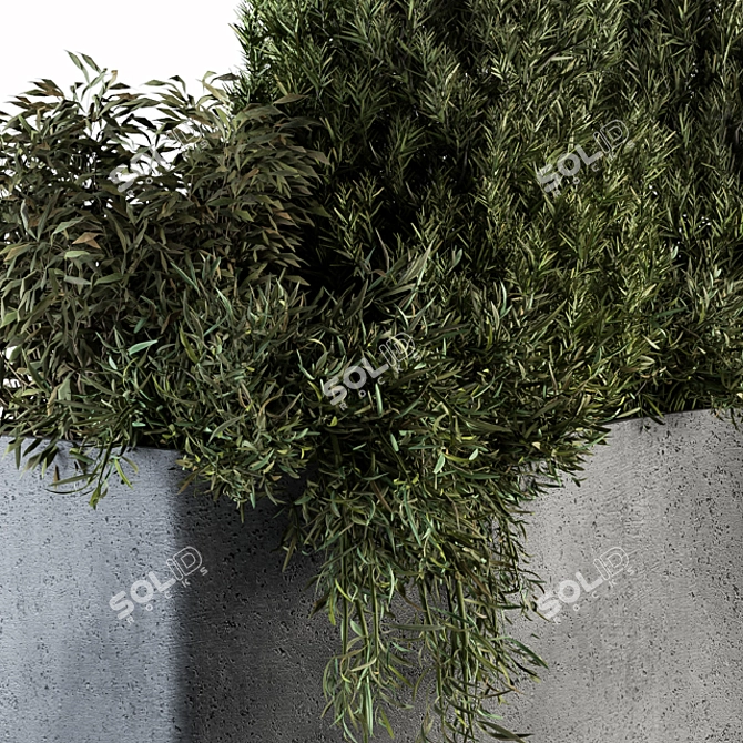 180 Outdoor Plant Set - Small Pine 3D model image 3