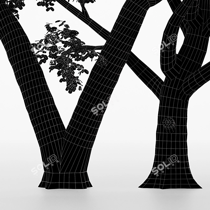 Dual Broadleaf Trees: 7m & 10m 3D model image 4