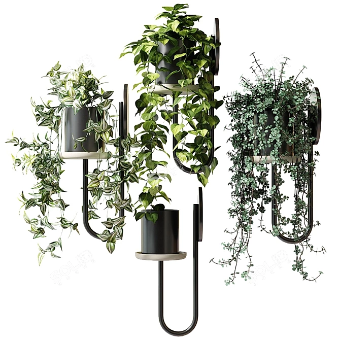 Title: CIGALES WALL: Stylish Hanging Planters 3D model image 2