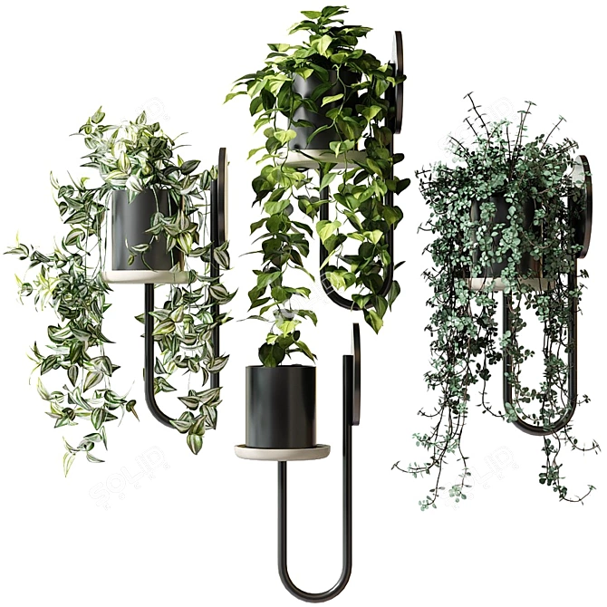 Title: CIGALES WALL: Stylish Hanging Planters 3D model image 5
