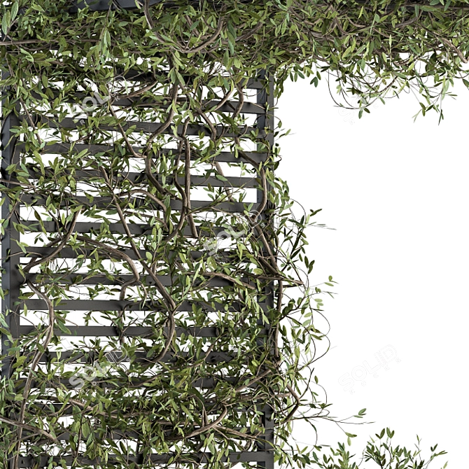 Evergreen Garden Set - Ivy & Bush 3D model image 2