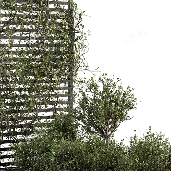 Evergreen Garden Set - Ivy & Bush 3D model image 3