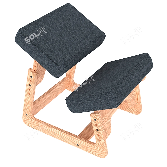 ErgoRelax Orthopedic Chair 3D model image 5