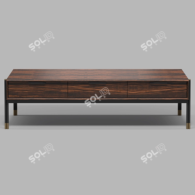 Elegant Ebony TV Stand by MOD Interiors 3D model image 2