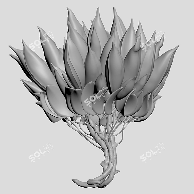 HD Floral Images Pack 3D model image 3