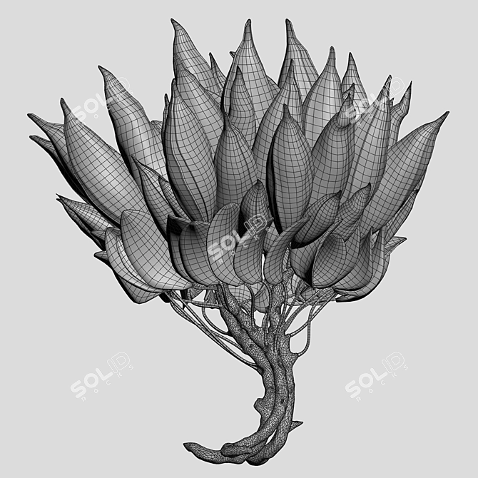 HD Floral Images Pack 3D model image 4