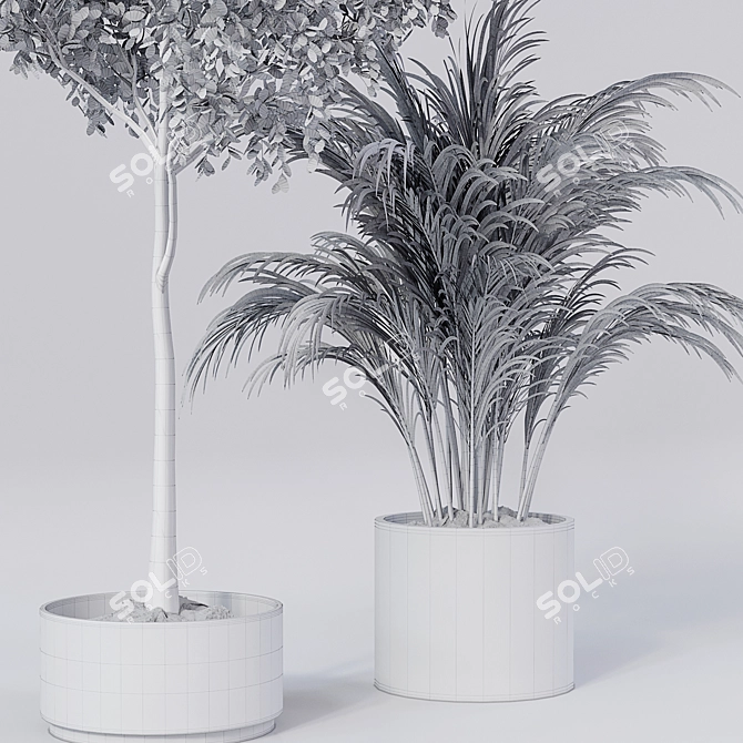 Lush Leaf Indoor Plant 3D model image 5