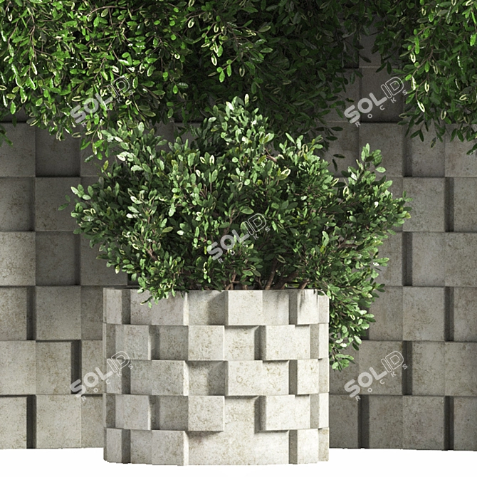 Outdoor Plant and Flower Set 3D model image 3