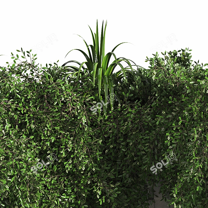 Outdoor Plant and Flower Set 3D model image 5