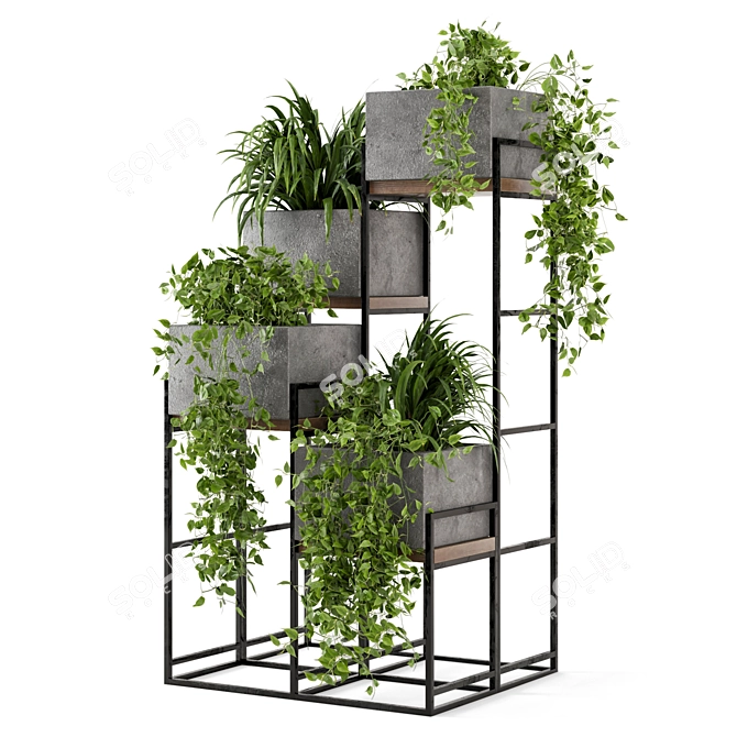 Rusty Concrete Pot Indoor Plants - Set 107 3D model image 4