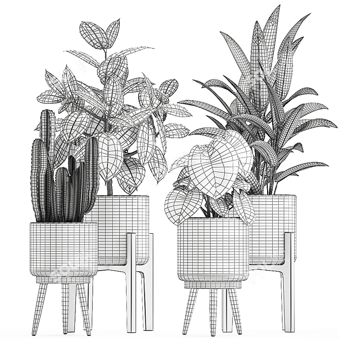 Tropical Plant Paradise 3D model image 5