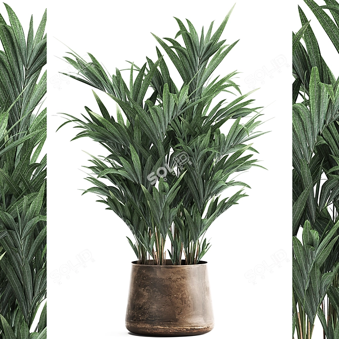 Tropical Plant Paradise 3D model image 1